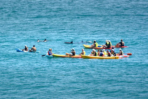 The Byron Bay Sea Kayak Tour - ACT Tourism 12