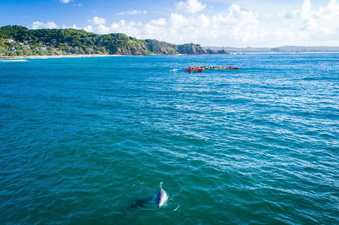 The Byron Bay Sea Kayak Tour - ACT Tourism 8