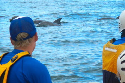 The Byron Bay Sea Kayak Tour - ACT Tourism 11