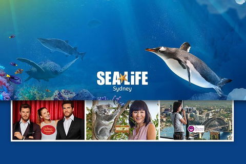 Sydney Attractions Pass: SEA LIFE Aquarium, Sydney Tower Eye, WILD LIFE Zoo And Madame Tussauds - ACT Tourism 0