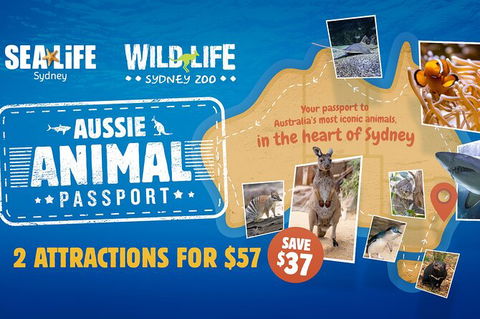 Sydney Attractions Pass: SEA LIFE Aquarium, Sydney Tower Eye, WILD LIFE Zoo And Madame Tussauds - ACT Tourism 4