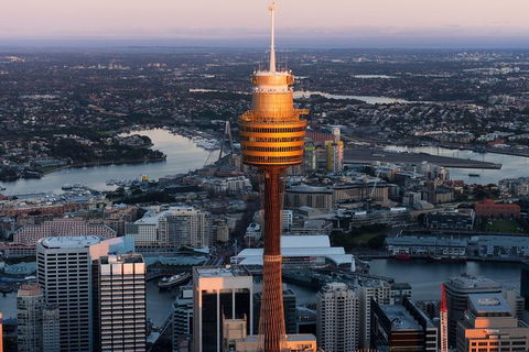 Sydney Attractions Pass: SEA LIFE Aquarium, Sydney Tower Eye, WILD LIFE Zoo And Madame Tussauds - ACT Tourism 8