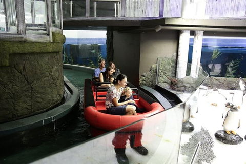 Sydney Attractions Pass: SEA LIFE Aquarium, Sydney Tower Eye, WILD LIFE Zoo And Madame Tussauds - ACT Tourism 6