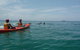 Kayaking With Dolphins In Byron Bay Guided Tour - thumb 0