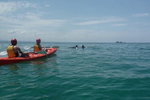 Kayaking With Dolphins In Byron Bay Guided Tour - ACT Tourism 10