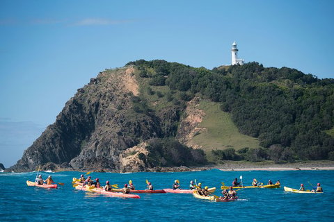 Kayaking With Dolphins In Byron Bay Guided Tour - ACT Tourism 2