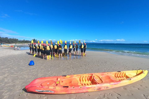 Kayaking With Dolphins In Byron Bay Guided Tour - ACT Tourism 3