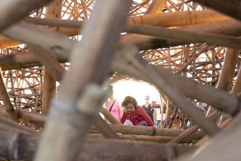 Family Day In Sydney With A Local: Private & Personalized - ACT Tourism 7