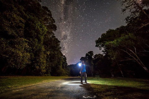Byron Bay Surfing Lesson And Mount Warning Sunrise Climb Including Overnight Camping And BBQ Dinner - ACT Tourism 6