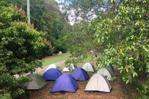 Byron Bay Surfing Lesson And Mount Warning Sunrise Climb Including Overnight Camping And BBQ Dinner - ACT Tourism 18