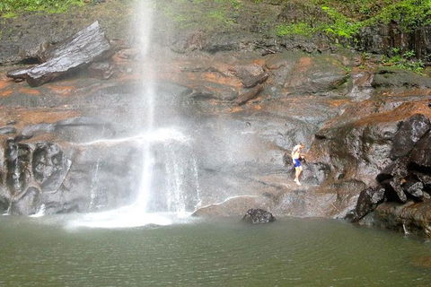 Byron Bay Combo: Hinterland Tour Including Minyon Falls And Kayaking With Dolphins - ACT Tourism 15