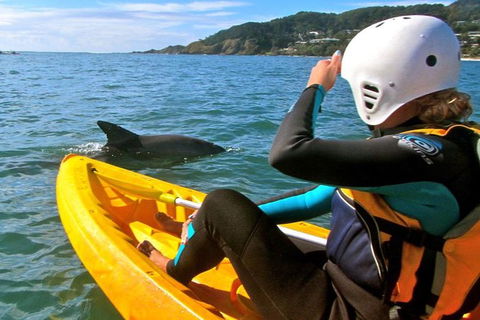 Byron Bay Combo: Hinterland Tour Including Minyon Falls And Kayaking With Dolphins - ACT Tourism 1