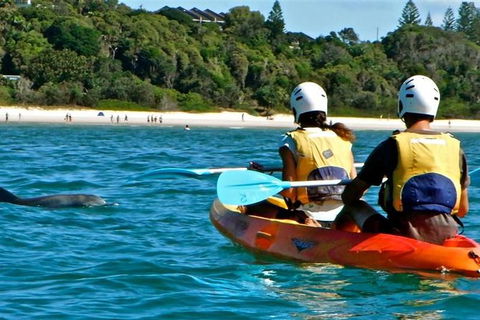 Byron Bay Combo: Hinterland Tour Including Minyon Falls And Kayaking With Dolphins - ACT Tourism 16