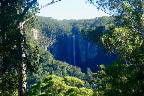 Byron Bay Combo: Hinterland Tour Including Minyon Falls And Kayaking With Dolphins - ACT Tourism 5