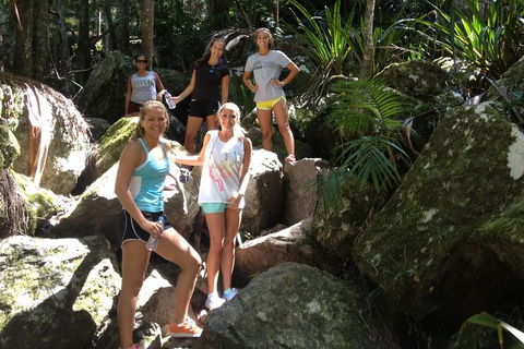 Byron Bay Combo: Hinterland Tour Including Minyon Falls And Kayaking With Dolphins - ACT Tourism 7
