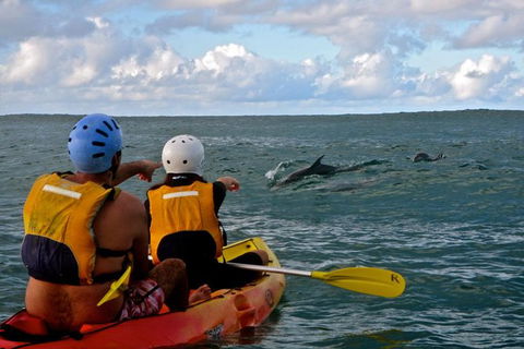 Byron Bay Combo: Hinterland Tour Including Minyon Falls And Kayaking With Dolphins - ACT Tourism 18