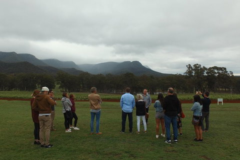 Hunter Valley Private Tour Including Wine, Chocolate, Cheese, Vodka, Gin Tasting - ACT Tourism 3