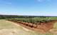 Hunter Valley Private Tour Including Wine, Chocolate, Cheese, Vodka, Gin Tasting - thumb 16