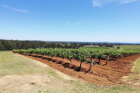 Hunter Valley Private Tour Including Wine, Chocolate, Cheese, Vodka, Gin Tasting - ACT Tourism 16
