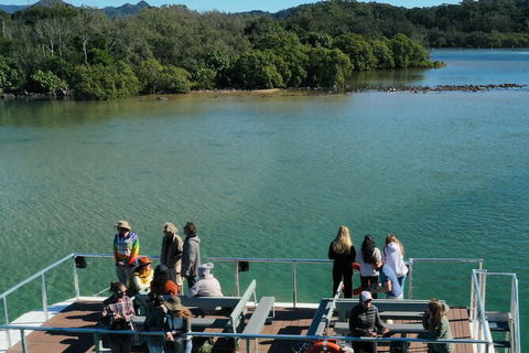 Brunswick Heads Rainforest Eco-Cruise - ACT Tourism 8