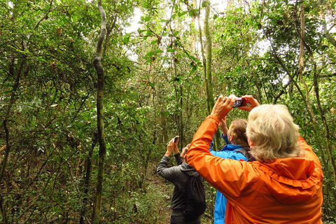 Byron Bay Wildlife Safari - ACT Tourism 12