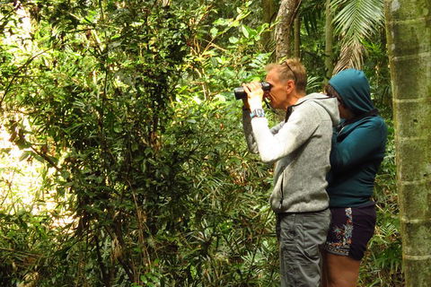 Byron Bay Wildlife Safari - ACT Tourism 10