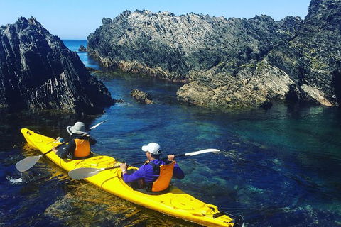 Half Day Sea Kayak Tour From Batemans Bay - ACT Tourism 1