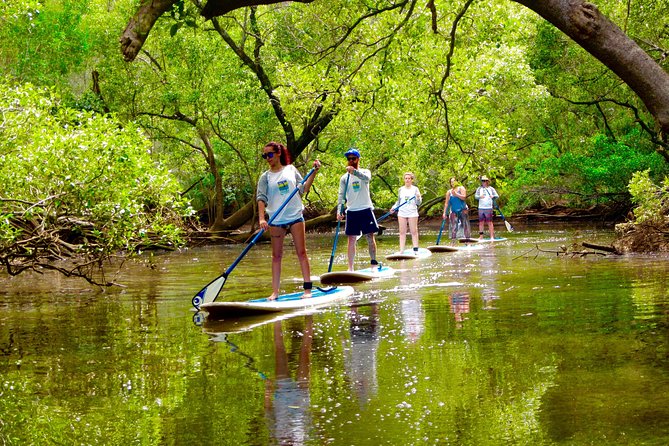 Myocum ACT ACT Tourism