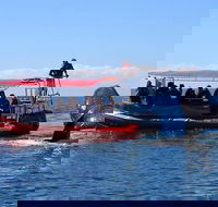 Byron Bay Whale Watching Cruise - ACT Tourism