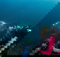 5-Hour Byron Bay Introductory Scuba Diving Tour - ACT Tourism