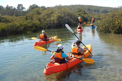 Batemans Bay Glass-Bottom Kayak Tour Over 2 Relaxing Hours - ACT Tourism 4