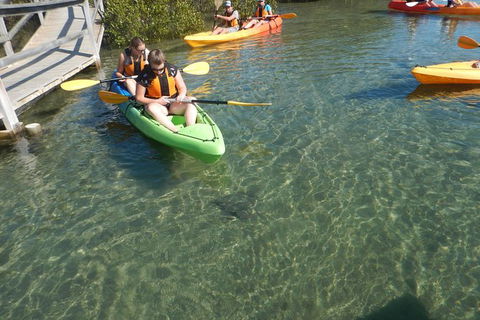 Batemans Bay Glass-Bottom Kayak Tour Over 2 Relaxing Hours - ACT Tourism 5