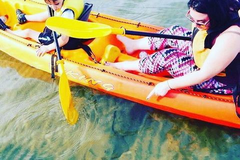 Batemans Bay Glass-Bottom Kayak Tour Over 2 Relaxing Hours - ACT Tourism 6