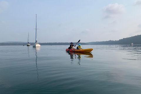 Batemans Bay Glass-Bottom Kayak Tour Over 2 Relaxing Hours - ACT Tourism 7