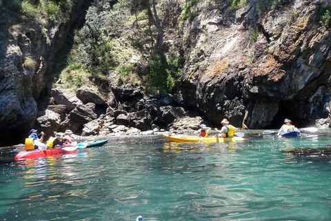 Batemans Bay Glass-Bottom Kayak Tour Over 2 Relaxing Hours - ACT Tourism 3
