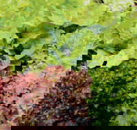 Apple Tree Creek - ACT Tourism