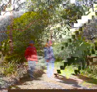 Arthurs Seat Circuit Walk - ACT Tourism