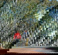 Arthur River - ACT Tourism