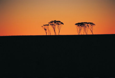 Arthur River - ACT Tourism 1