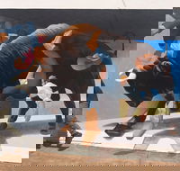 Big Bull Mural - ACT Tourism