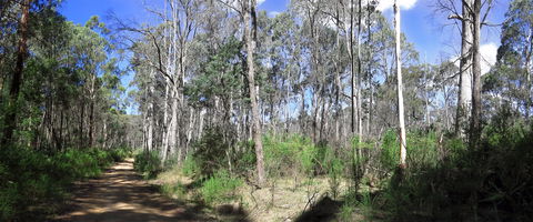 Blue Range Camping And Picnic Area - ACT Tourism 1