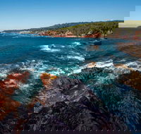 Boyds Tower to Saltwater Creek Walking Track - ACT Tourism