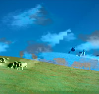 Bridgetown - ACT Tourism