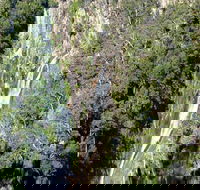 Carrai National Park - ACT Tourism