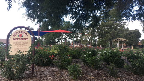 Cobram Mivo Park And Playground - ACT Tourism 2