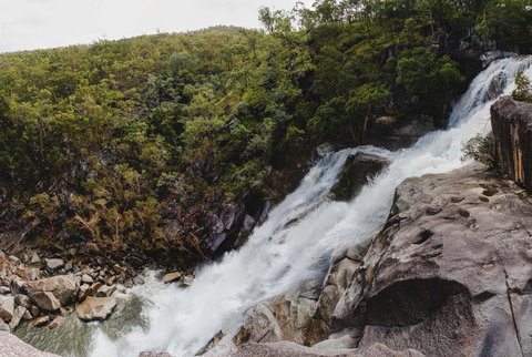 Davies Creek National Park And Dinden National Park - ACT Tourism 0