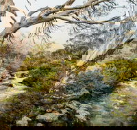 Dead Horse Gap walking track - ACT Tourism