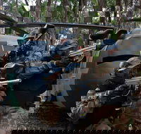 Delta Force Paintball Appin - ACT Tourism