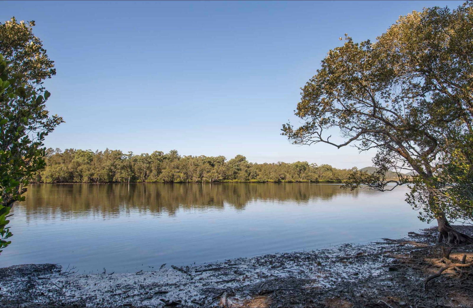 Limeburners Creek NSW ACT Tourism