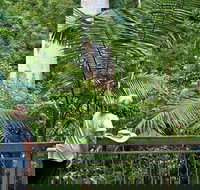 Grandis Picnic Area - ACT Tourism